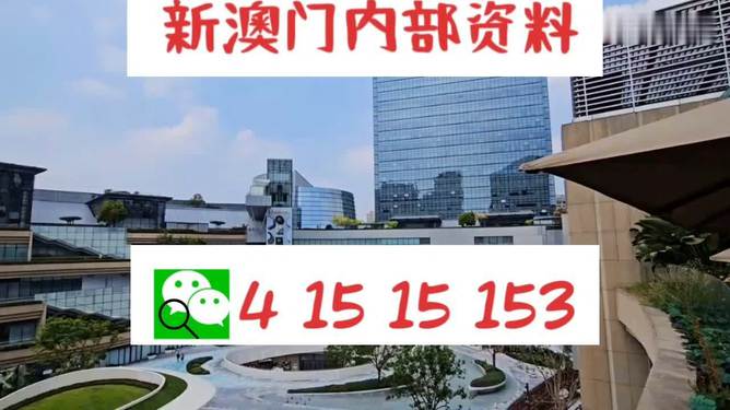 新澳門免費資料大全新牌門，一網(wǎng)打盡最新信息，澳門最新免費資料大匯總，一網(wǎng)打盡新牌門最新信息