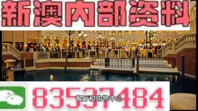 新門內(nèi)部資料精準(zhǔn)大全，新門內(nèi)部資料精準(zhǔn)大全揭秘
