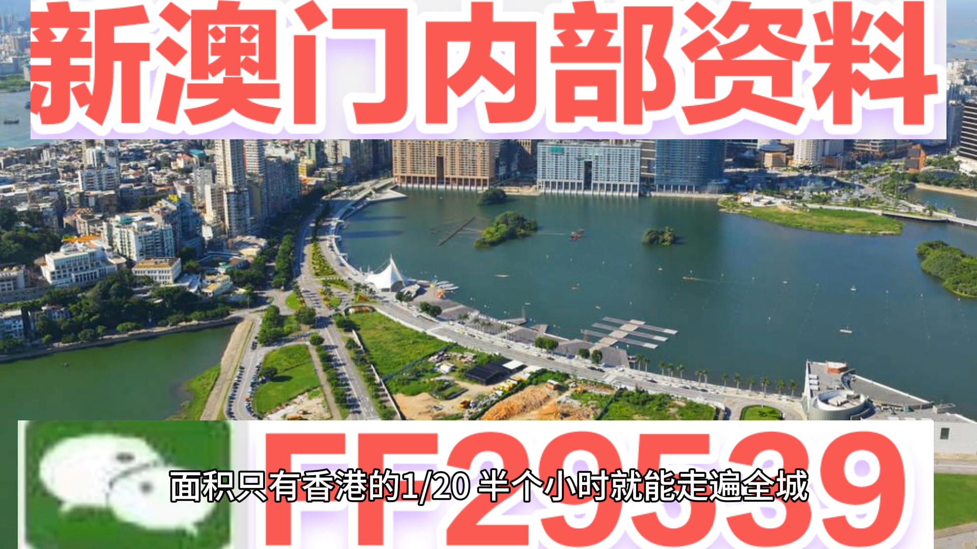 揭秘，2025年澳門今晚生肖開彩傳奇，揭秘澳門生肖開彩傳奇，2025年今晚開獎傳奇故事