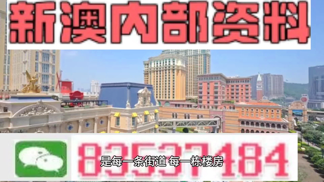 澳門最精準正最精準龍門，揭秘背后的秘密，澳門最精準正龍門背后的秘密揭秘