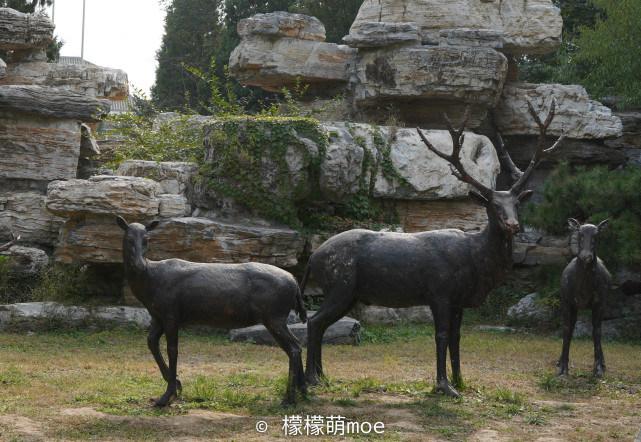 四不像資料免費大全，四不像資料大全，免費獲取，一網(wǎng)打盡