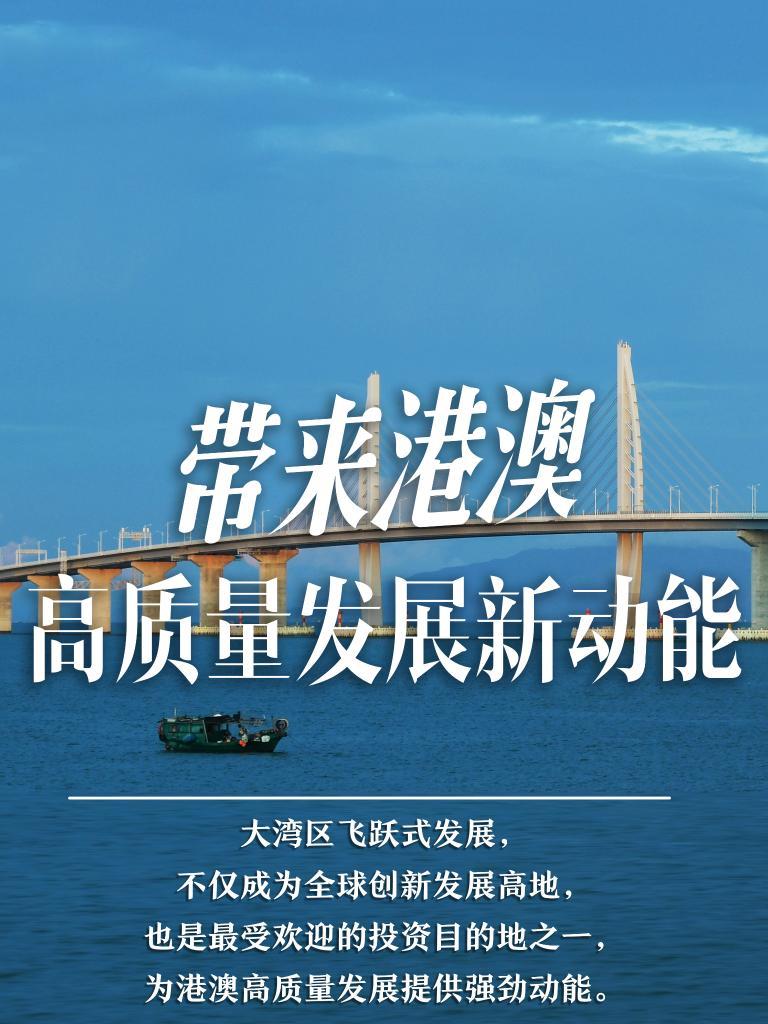 探索未來(lái)之門，2025新澳門精準(zhǔn)免費(fèi)大全，探索未來(lái)之門，2025新澳門精準(zhǔn)免費(fèi)大全概覽