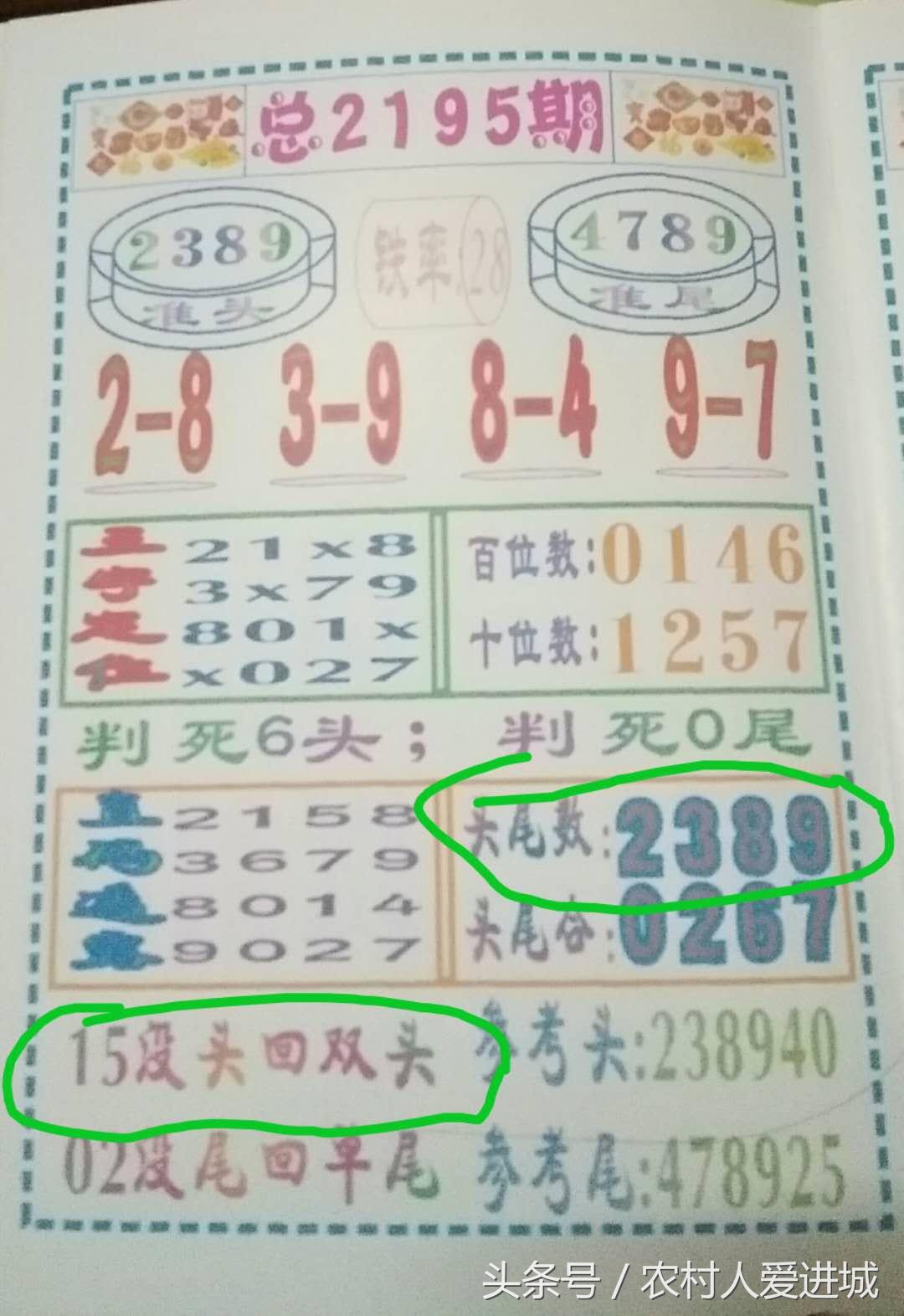 新澳門一肖中，揭秘期期準(zhǔn)的奧秘，揭秘新澳門一肖中，期期準(zhǔn)的奧秘所在