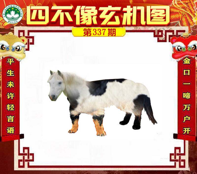 四不像今晚必中一肖，四不像預(yù)測，今晚必中一肖精選