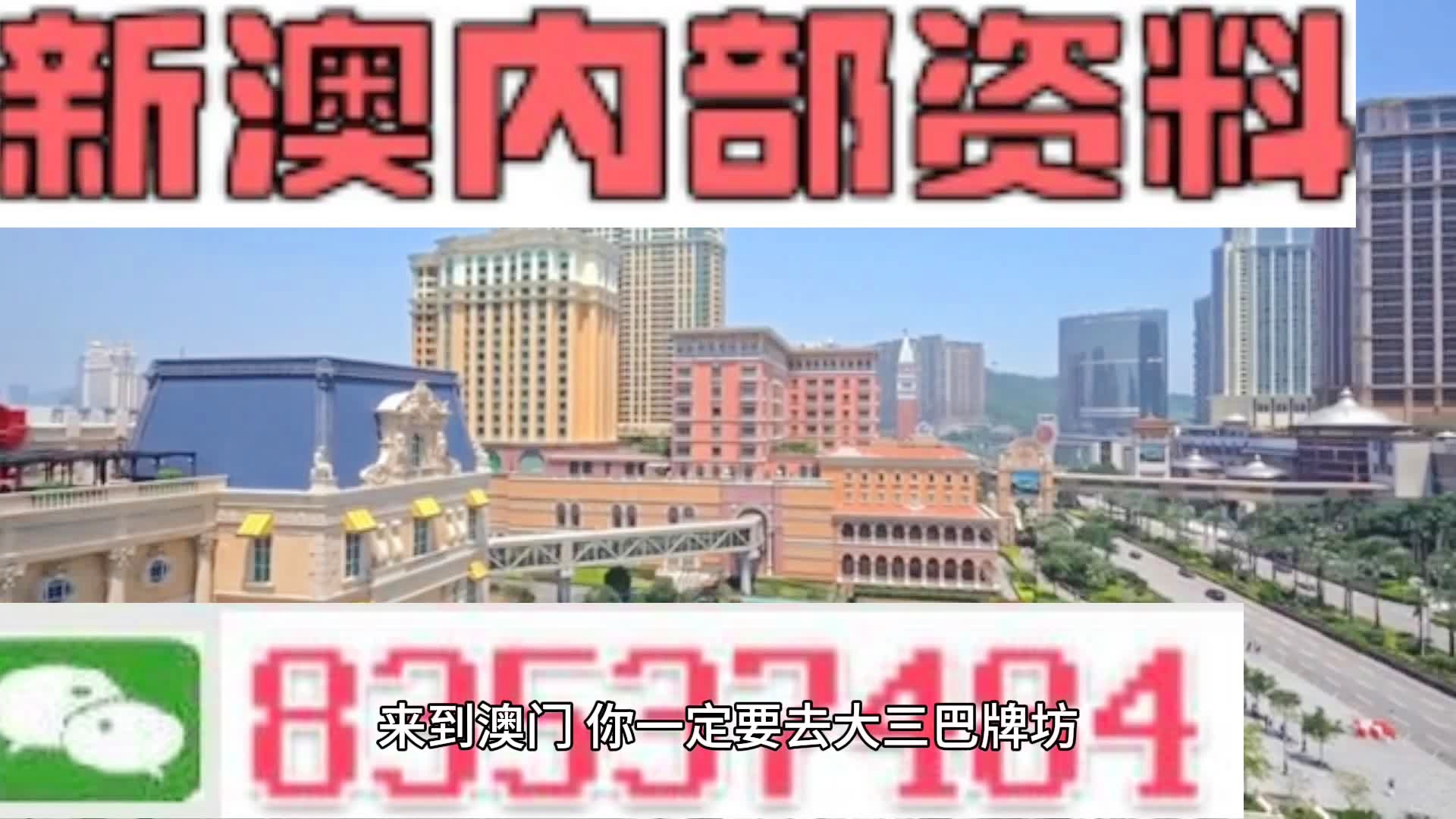 2025新澳精準(zhǔn)資料大全，2025新澳精準(zhǔn)資料大全手冊