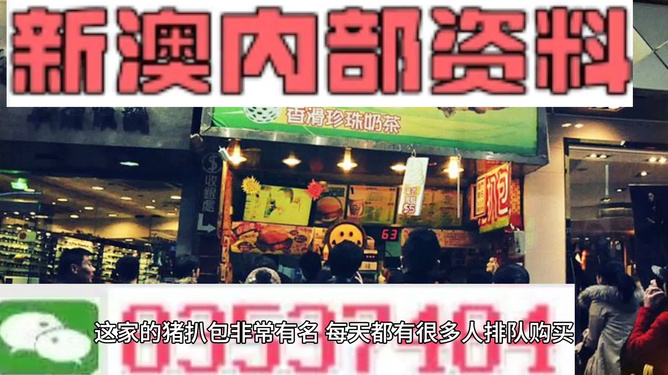 2025新澳精準資料大全，2025新澳精準資料大全手冊
