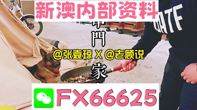 管家婆精準(zhǔn)資料免費(fèi)