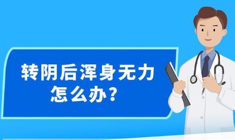 新澳精準(zhǔn)資料提供網(wǎng)站及其可用軟件綜述，新澳精準(zhǔn)資料提供網(wǎng)站與可用軟件概覽