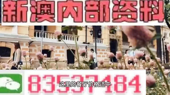 澳門最精準(zhǔn)免費(fèi)資料大全旅游團(tuán)，一站式旅游指南，澳門旅游團(tuán)一站式指南，最精準(zhǔn)免費(fèi)資料大全