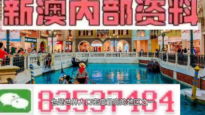 新澳門免費精準龍門客棧，揭秘管家婆的神秘面紗，揭秘新澳門龍門客棧的管家婆神秘面紗