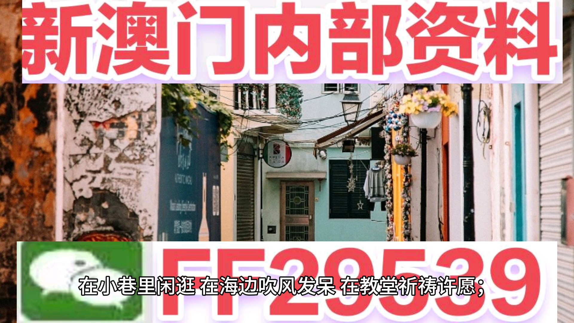 新澳門今晚開獎結(jié)果及開獎熱點(diǎn)解析，澳門今晚開獎結(jié)果及熱點(diǎn)解析速遞