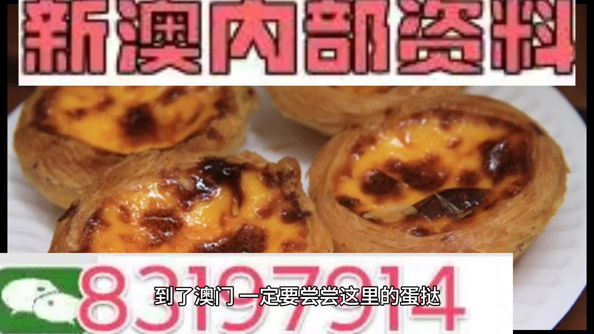 新澳門資料大全正版資料?奧利奧斗地主，澳門正版資料大全與奧利奧斗地主，一網(wǎng)打盡
