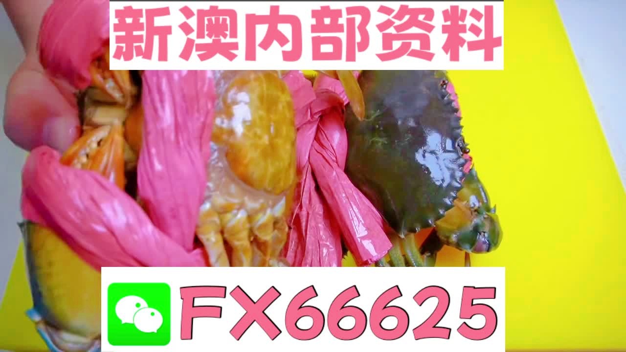 2025新澳精準資料大全解釋，2025新澳精準資料大全詳解