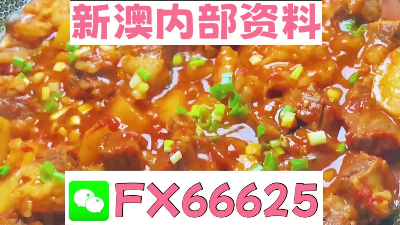 新奧長期免費資料大全三肖——深度探索與解析，新奧長期免費資料大全三肖，深度解析與探索