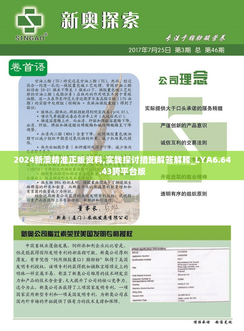 新澳2025資料詳解，新澳2025資料全面解析