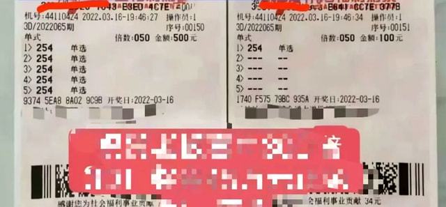 老澳門彩4949最新開獎記錄，歷史、數(shù)據(jù)與趨勢分析，老澳門彩最新開獎記錄及歷史數(shù)據(jù)與趨勢深度解析
